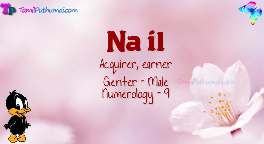 Na il-babyname-meaning